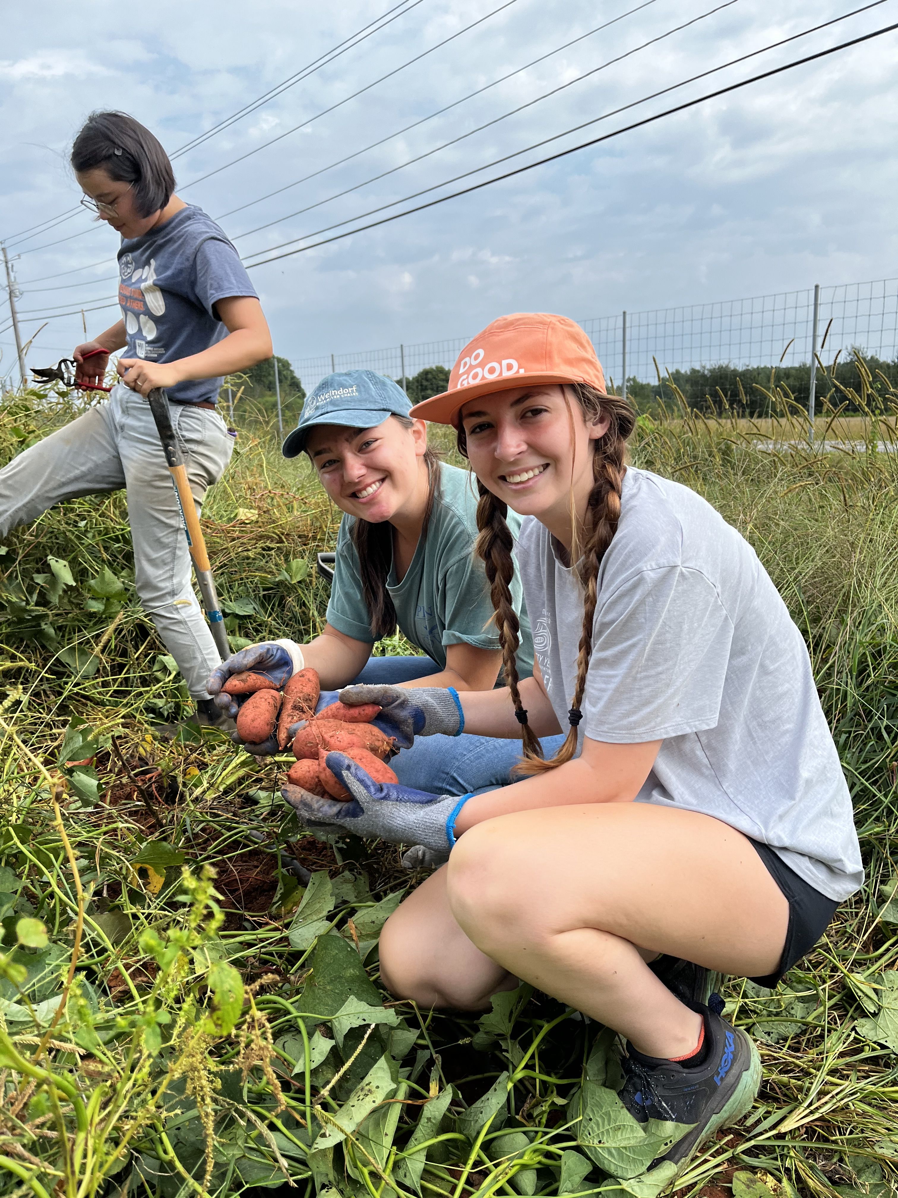 UGA students hold several sweet potatoes harvested at UGArden.
