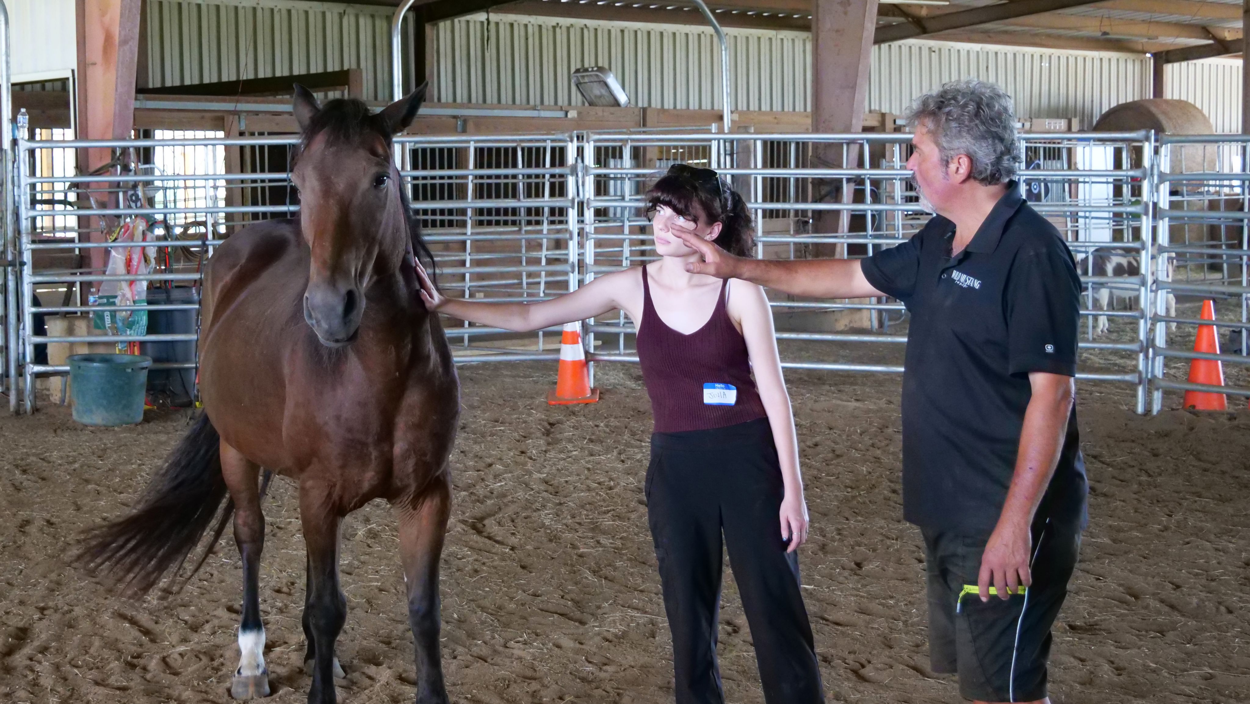 A student reaches out to touch a more wild mustang at Wild Mustang Ranch.
