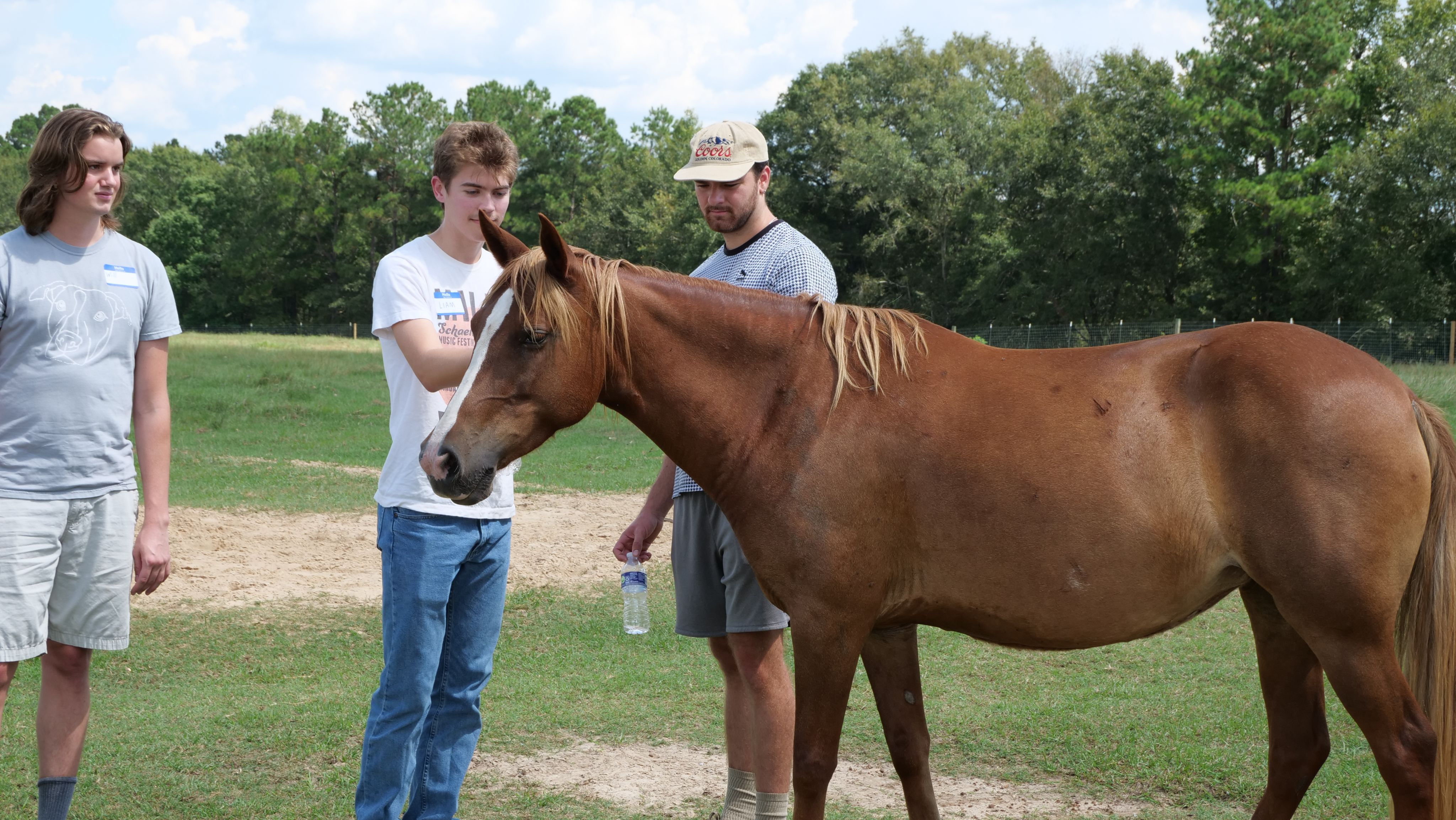 Students meet with a smaller mustang