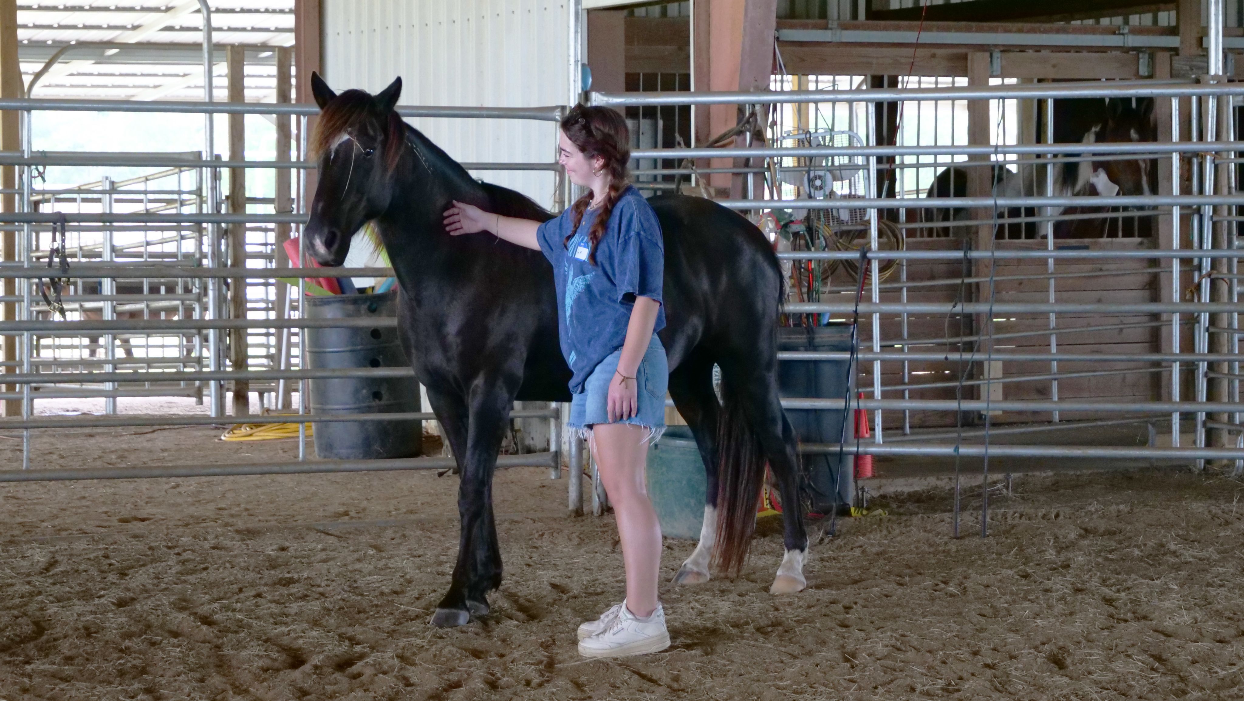 One of Berglund's students touches a timid mustang