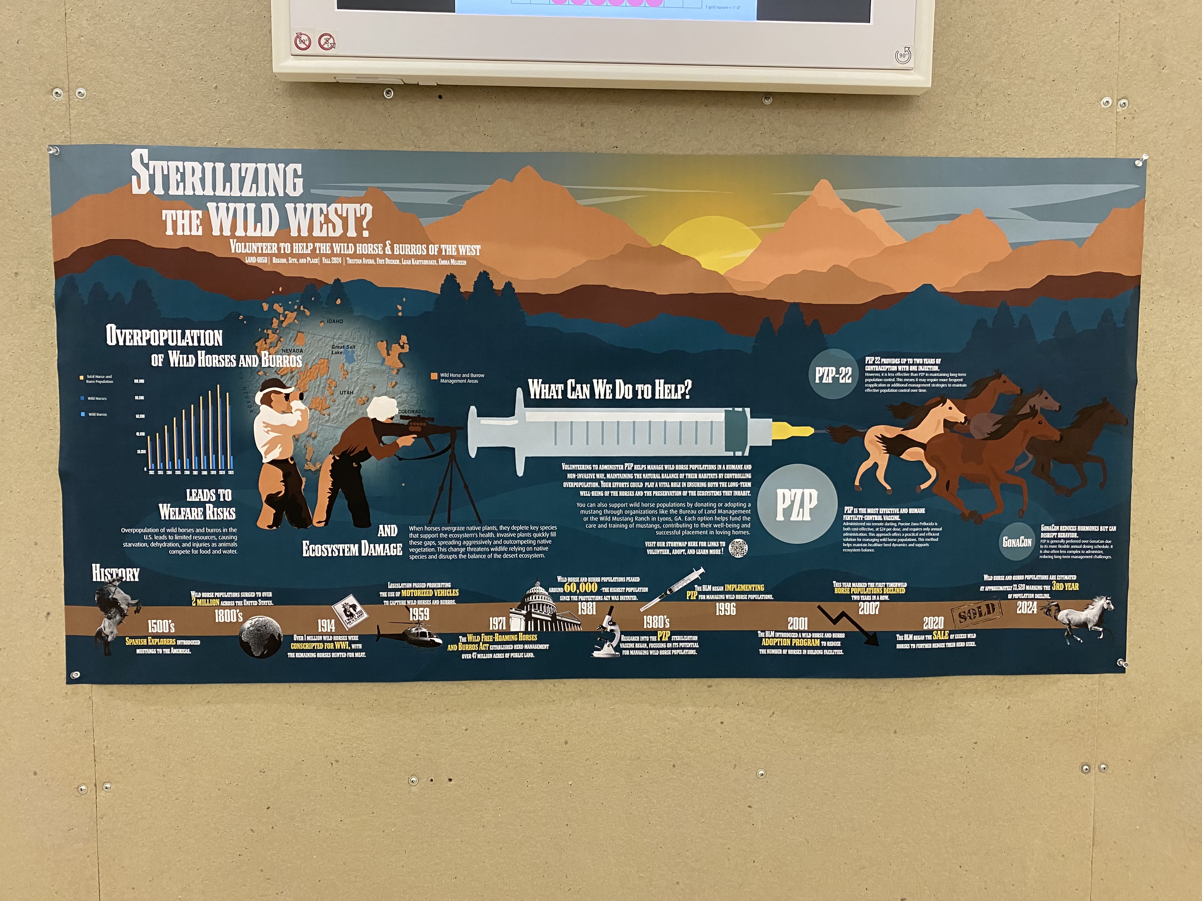 An infographic focusing on the possibility of sterilization darts to reduce wild mustang overpopulation