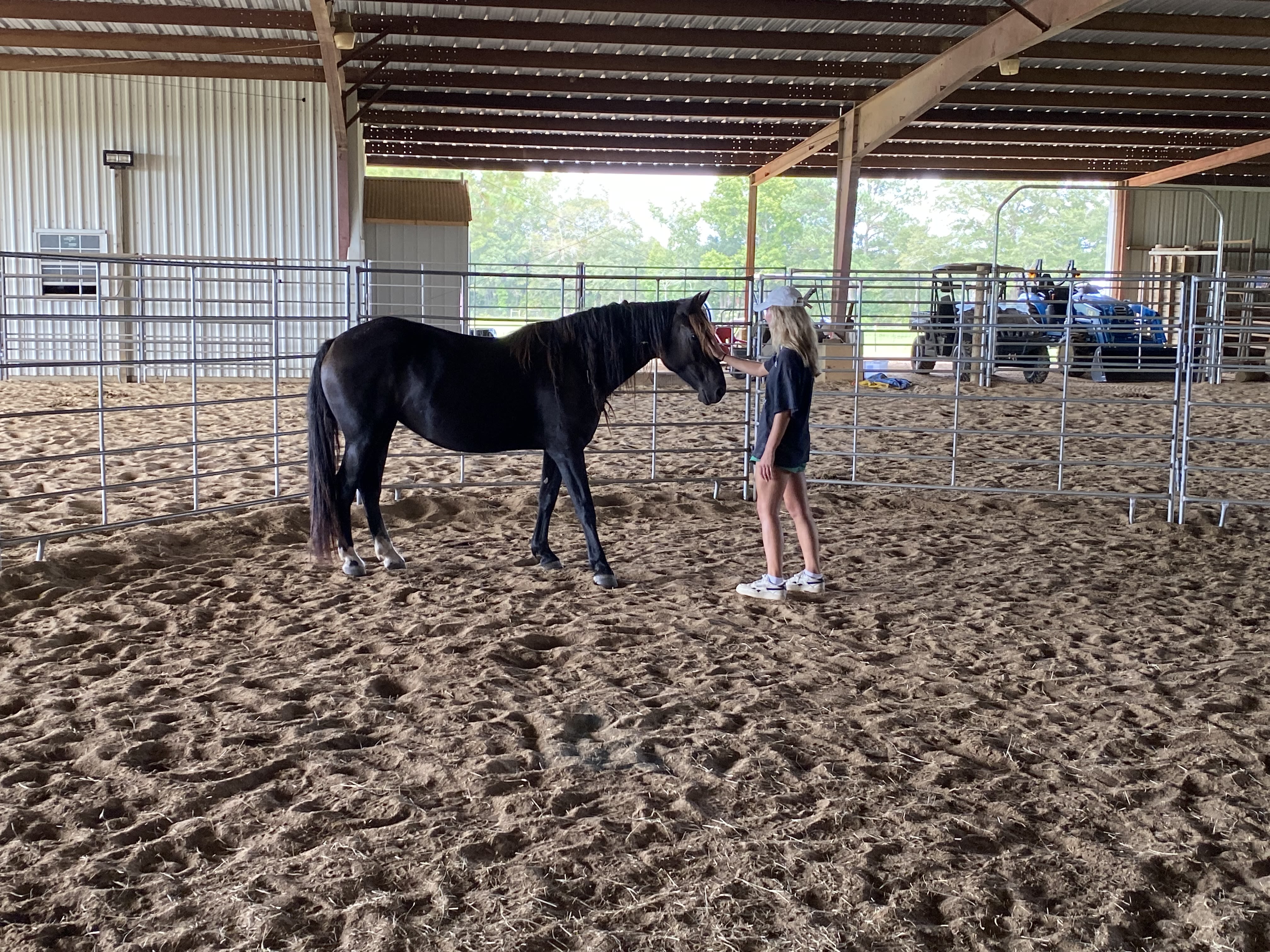 One of Berglund's students spends time training one on one with a mustang in the barn at Wild Mustang Ranch