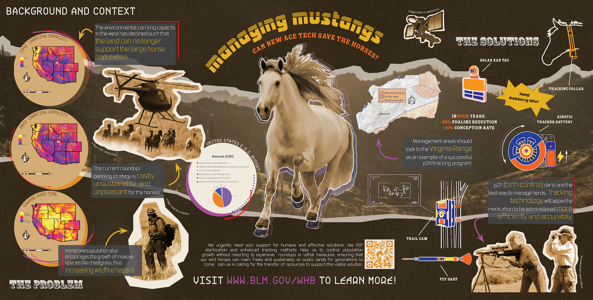 A detailed infographic discussing potential solutions for wild mustang overpopulation